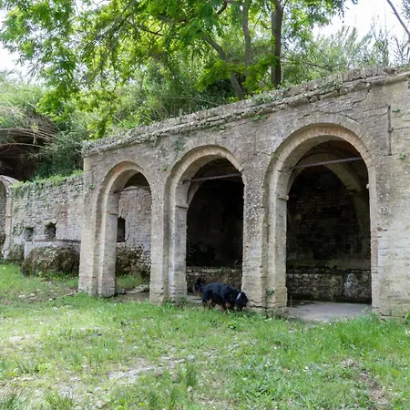Altamira *