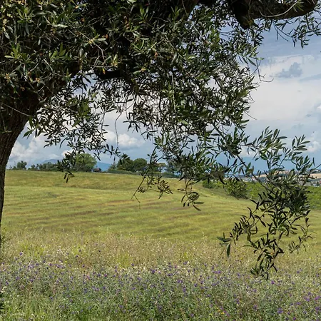 Aparthotel Altamira Roseto Degli Abruzzi