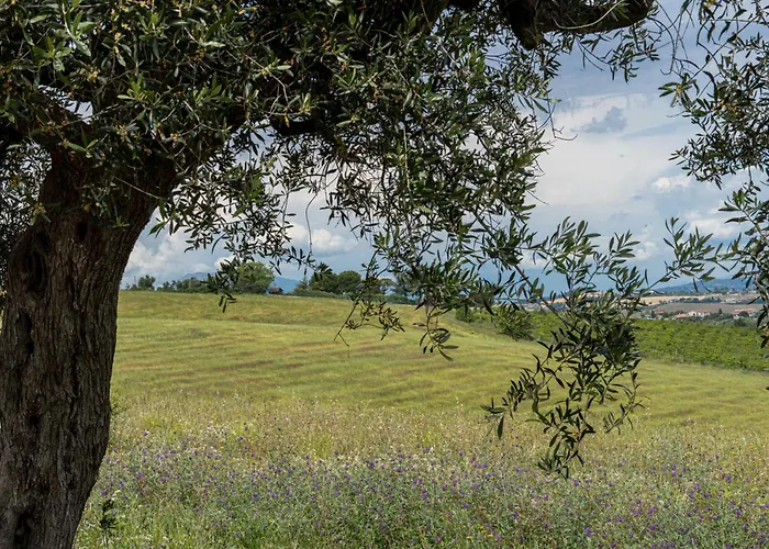 Ξενοδοχείο με διαμερίσματα Altamira Roseto Degli Abruzzi